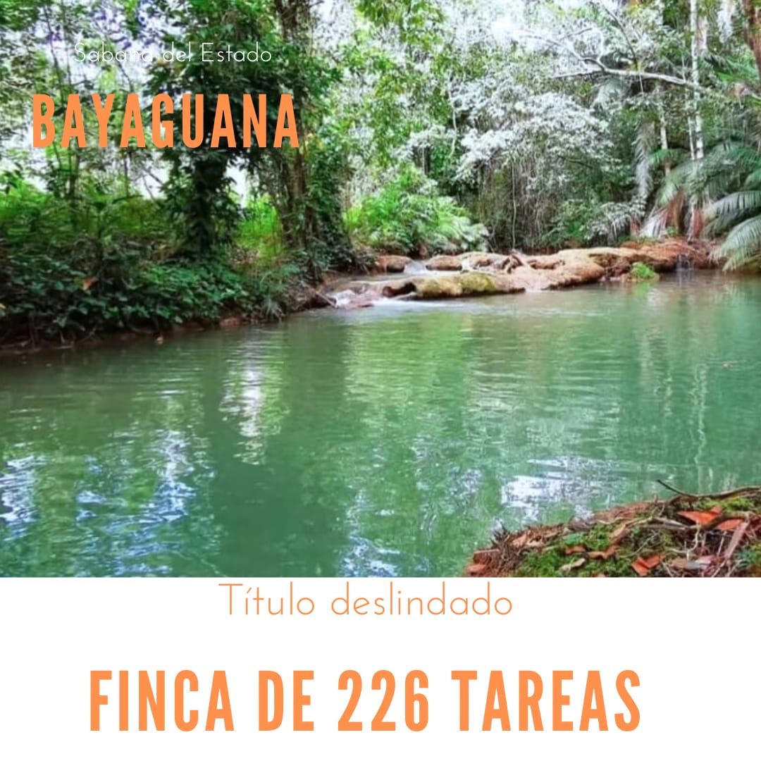 Paradisíaca finca de 226 tareas Ecológica y Ecoturísticas creada para  Foto 7286731-1.jpg