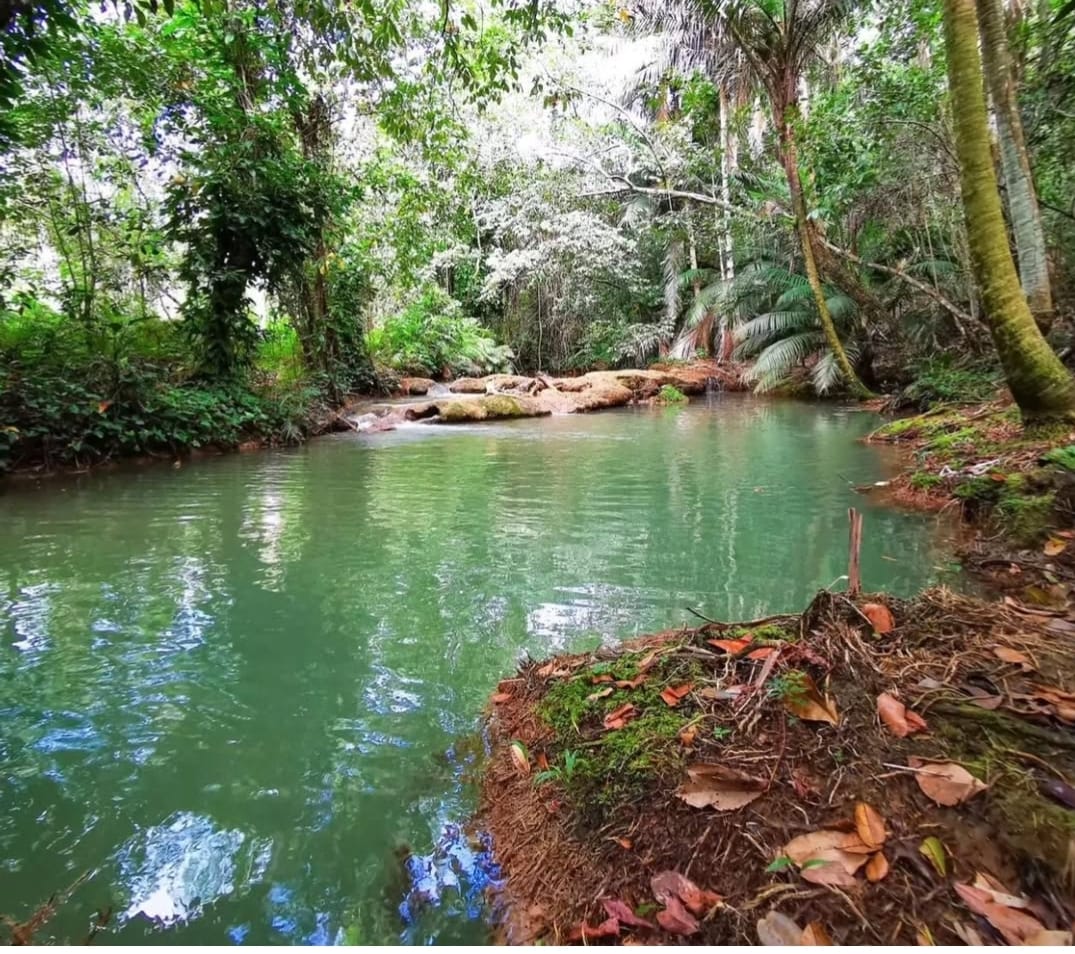 Paradisíaca finca de 226 tareas Ecológica y Ecoturísticas creada para  Foto 7286731-2.jpg