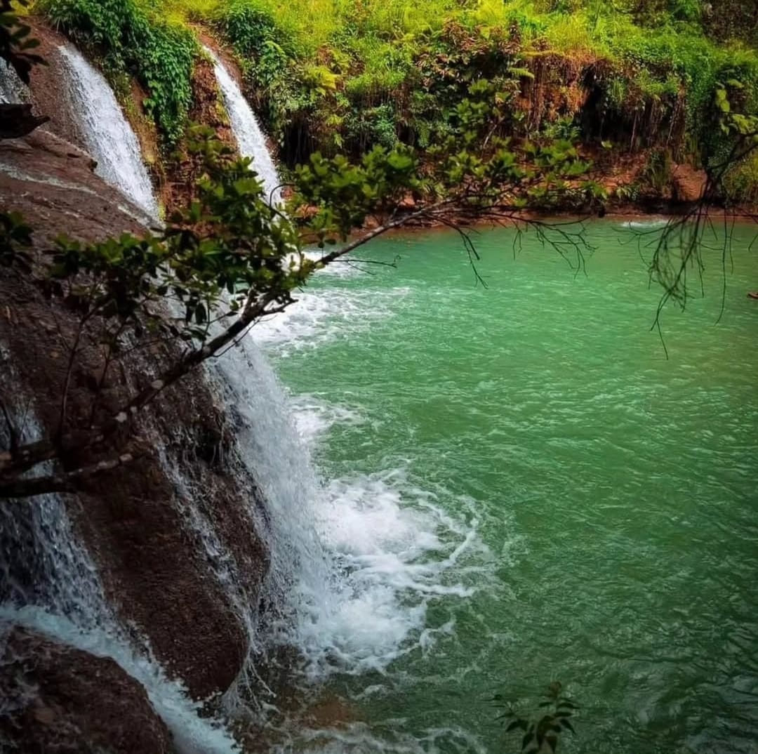 Paradisíaca finca de 226 tareas Ecológica y Ecoturísticas creada para  Foto 7286731-3.jpg