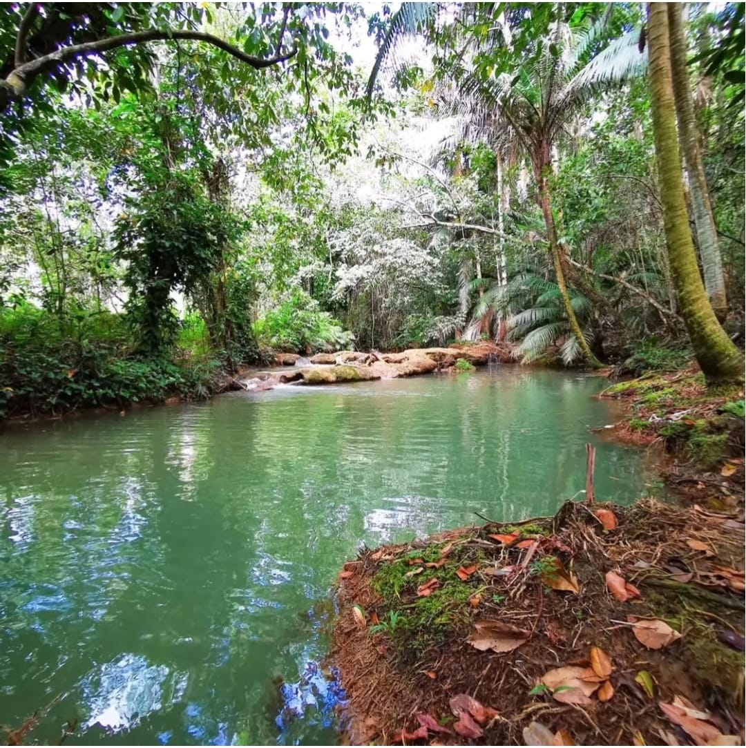 Paradisíaca finca de 226 tareas Ecológica y Ecoturísticas creada para  Foto 7286731-5.jpg