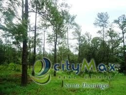 Citymax Santo Domingo Vende Terreno en Jarabacoa  en lugar hermoso y f Foto 7287985-3.jpg