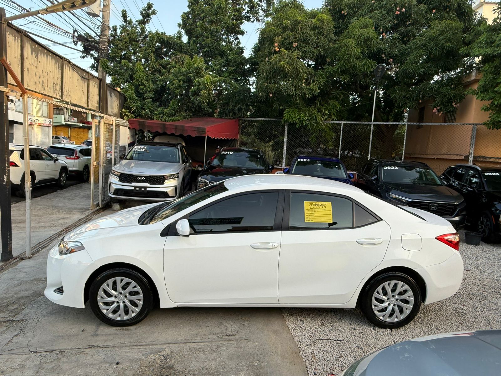 Toyota Corolla LE 2019 Foto 7288430-3.jpg