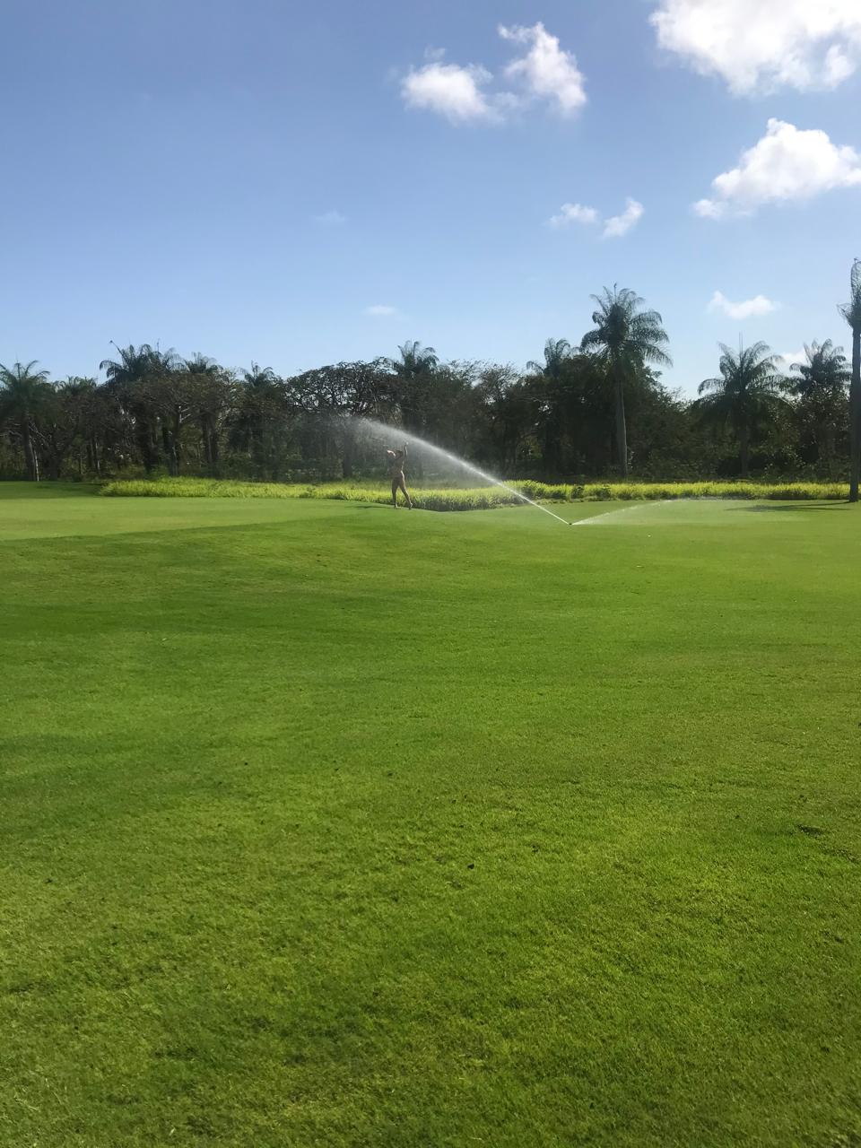 GUAVABERRY RESORT  COUNTRY CLUB US450000.00 Foto 7289358-12.jpg