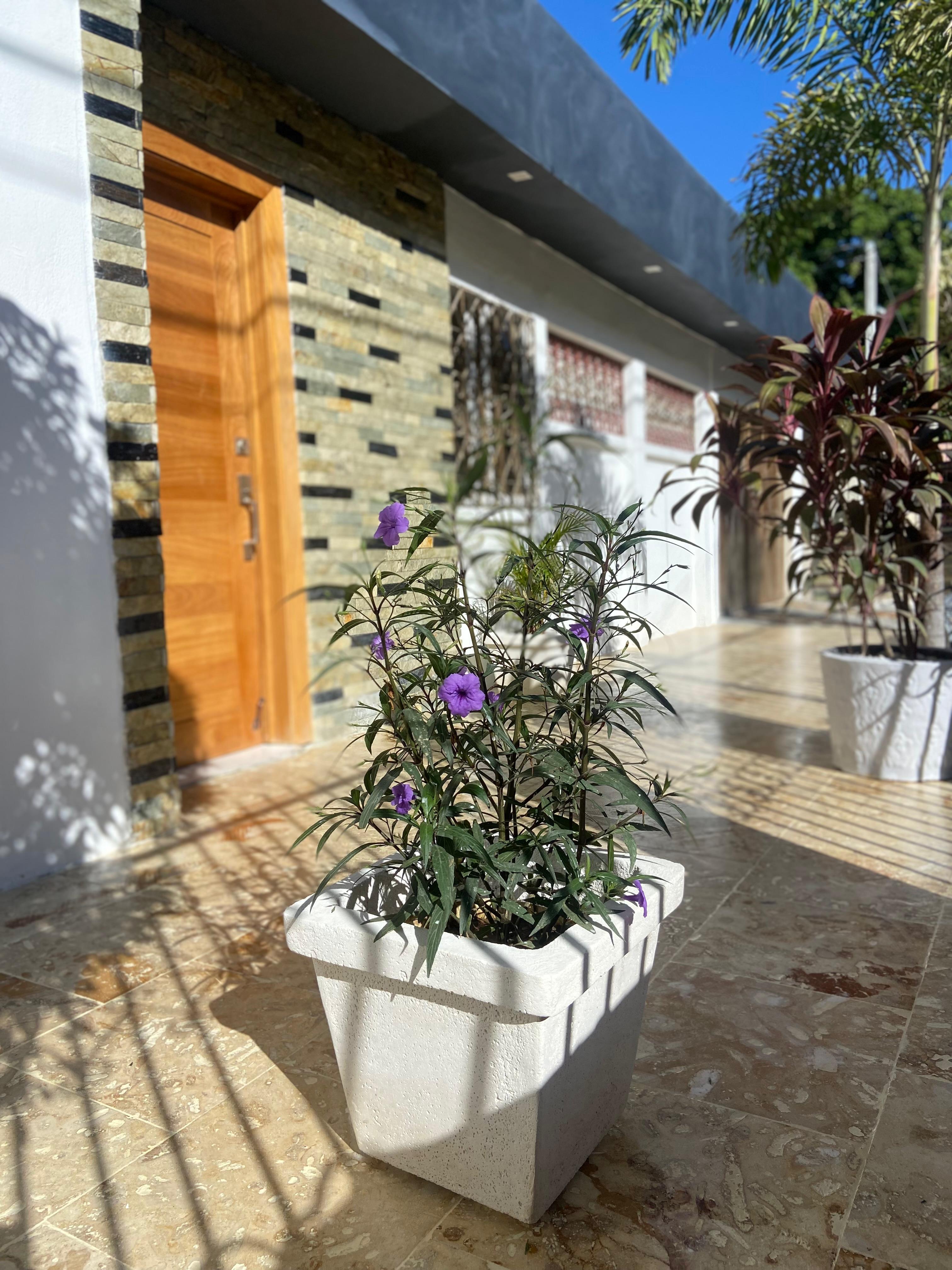 ???? EN VENTA – CASA EN BARACOA SANTIAGO Foto 7290043-4.jpg