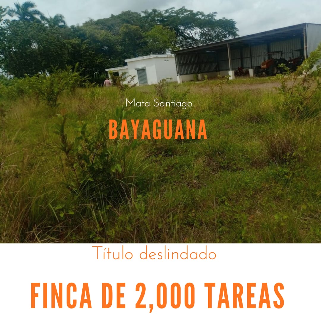 Finca de 1989 tareas con vocación agrícola y ganadera en Bayaguana Foto 7290200-1.jpg