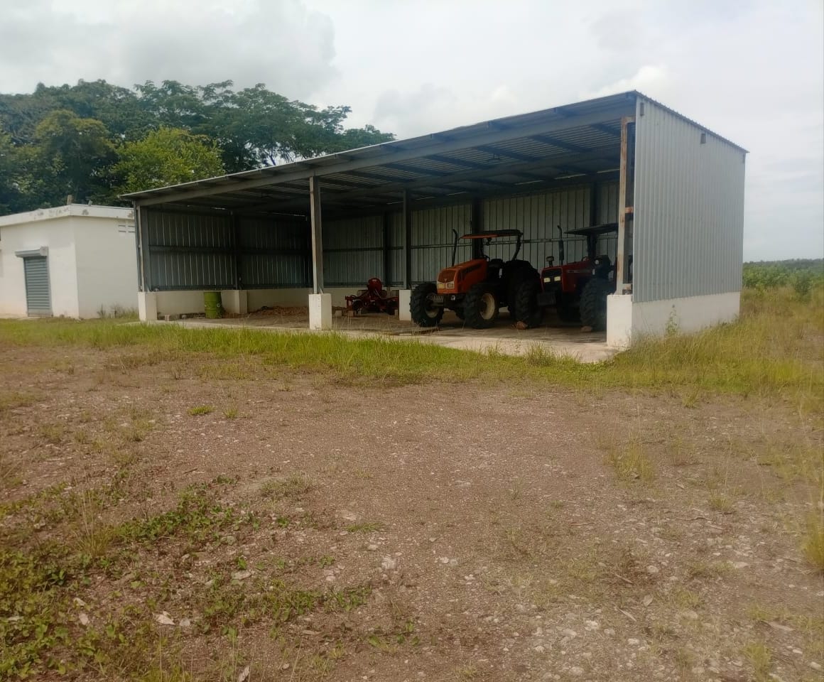 Finca de 1989 tareas con vocación agrícola y ganadera en Bayaguana Foto 7290200-3.jpg