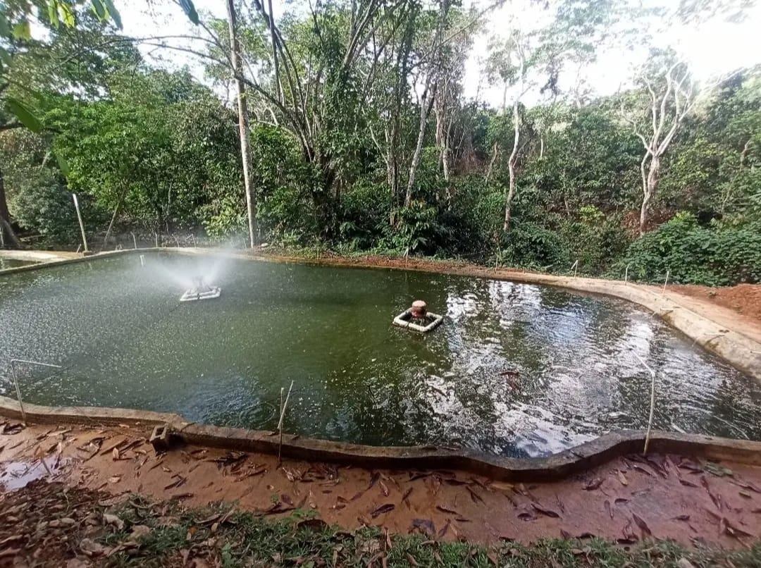 Vendo finca de 33 tareas para los amantes de la piscicultura con saca  Foto 7290201-12.jpg