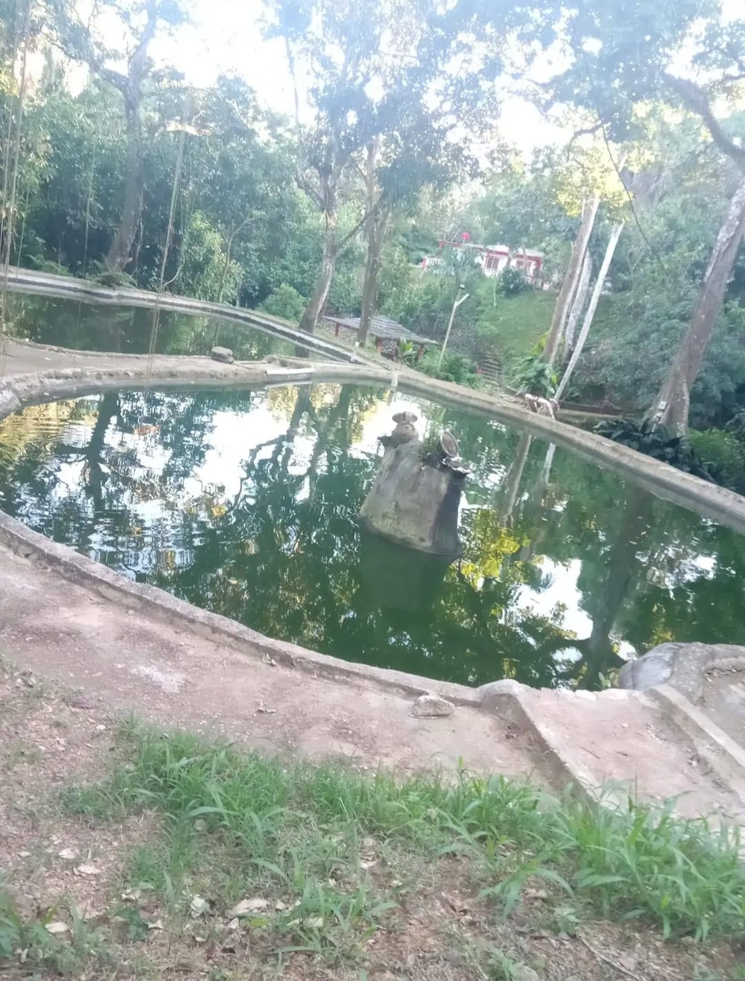 Vendo finca de 33 tareas para los amantes de la piscicultura con saca  Foto 7290201-15.jpg
