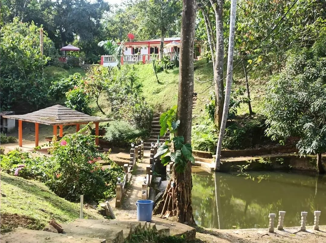 Vendo finca de 33 tareas para los amantes de la piscicultura con saca  Foto 7290201-5.jpg