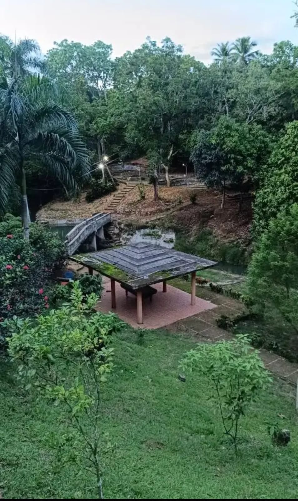 Vendo finca de 33 tareas para los amantes de la piscicultura con saca  Foto 7290201-6.jpg