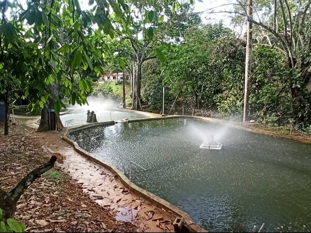 Vendo finca de 33 tareas para los amantes de la piscicultura con saca  Foto 7290201-9.jpg