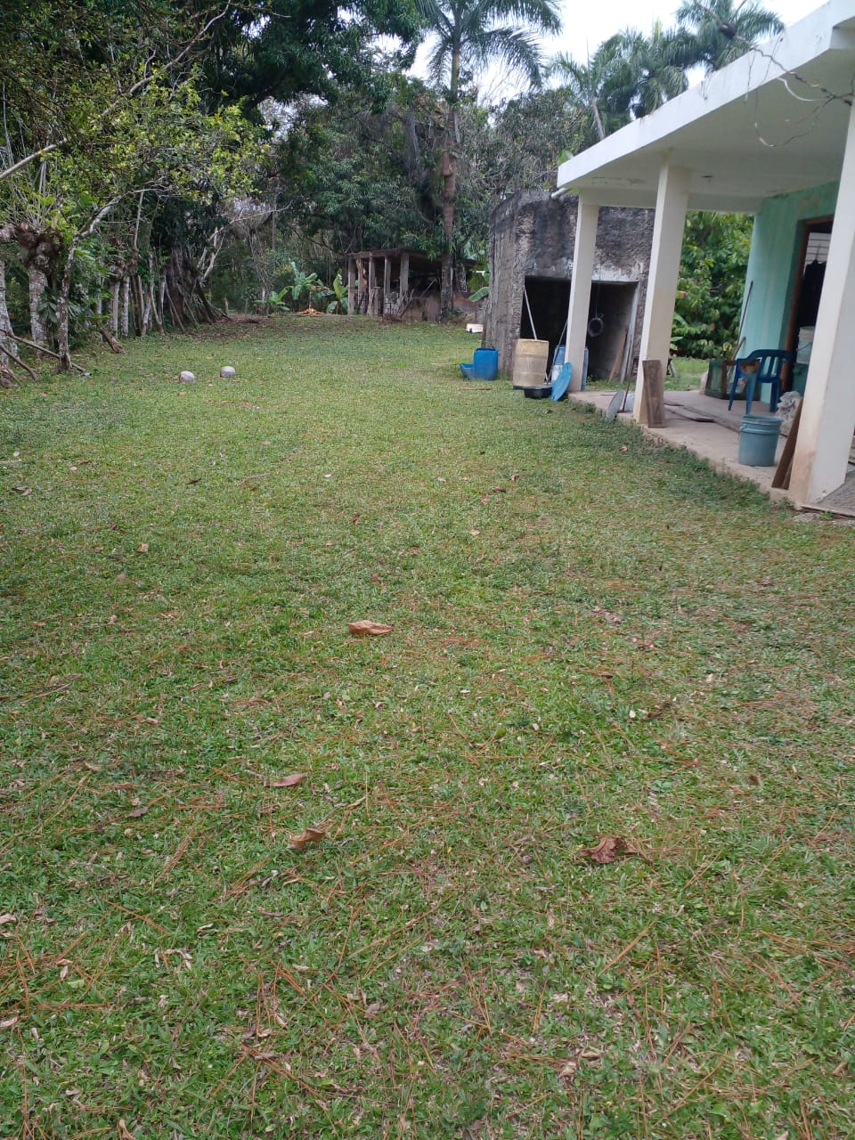 Finca de 125 tareas con casa ganadera y agrícola en Bayaguana Foto 7290205-10.jpg