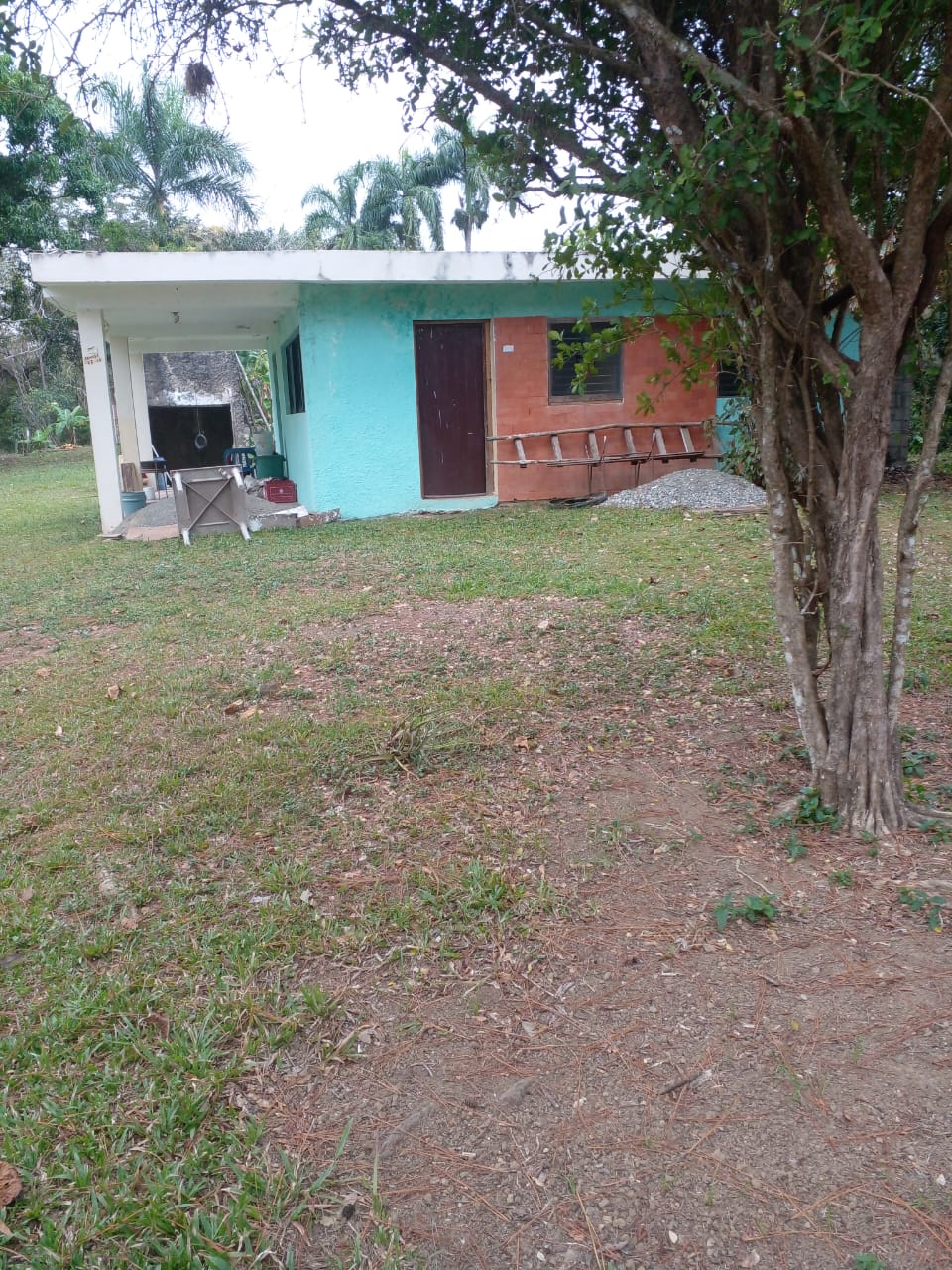 Finca de 125 tareas con casa ganadera y agrícola en Bayaguana Foto 7290205-5.jpg