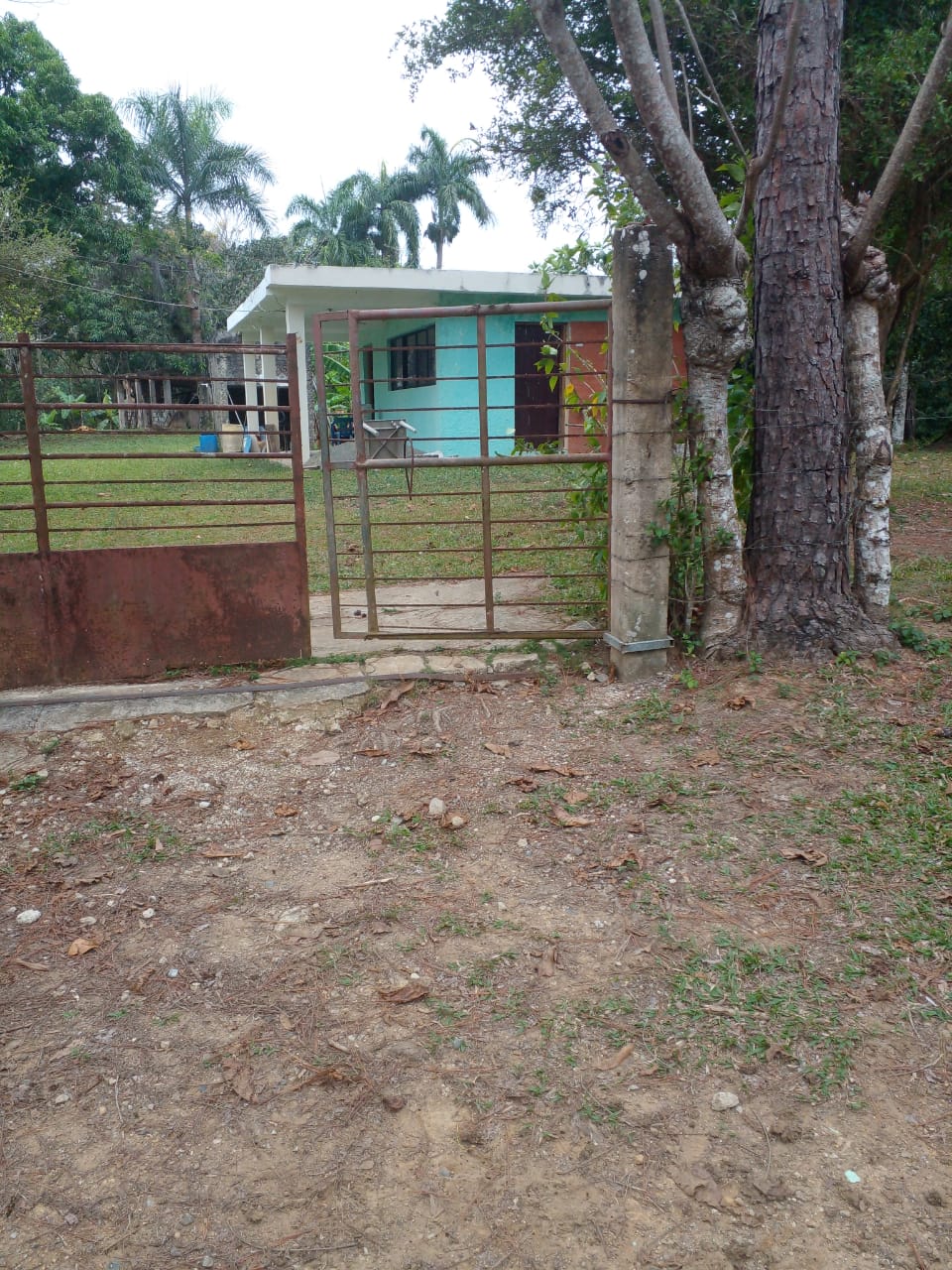 Finca de 125 tareas con casa ganadera y agrícola en Bayaguana Foto 7290205-7.jpg