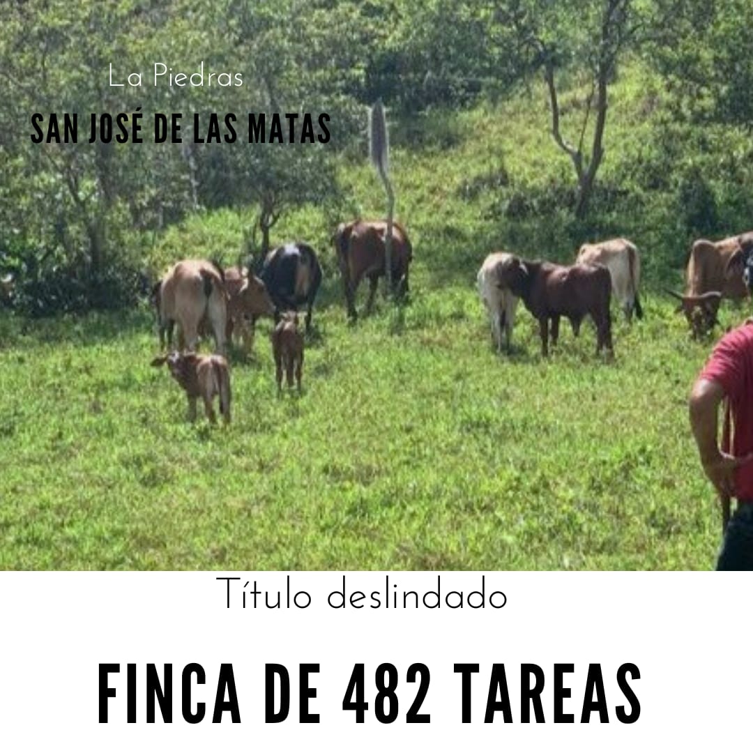 Finca de 482 tareas con vocación ganadera y agrícola en San José de la Foto 7290213-1.jpg