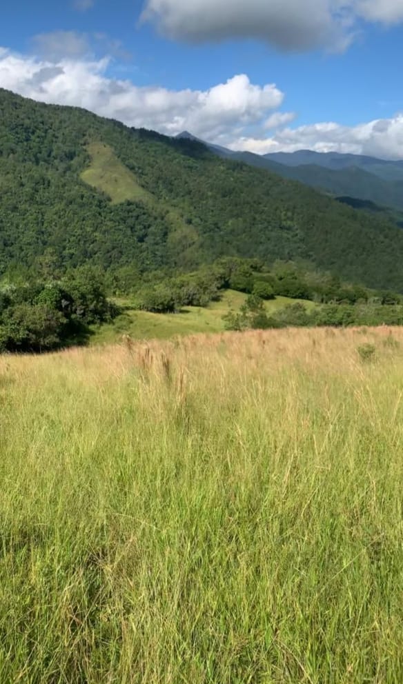 Finca de 482 tareas con vocación ganadera y agrícola en San José de la Foto 7290213-3.jpg