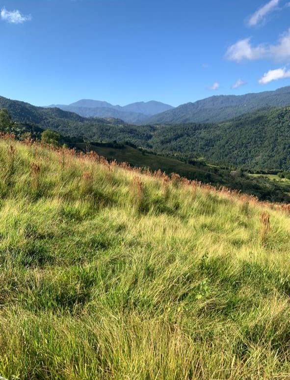 Finca de 482 tareas con vocación ganadera y agrícola en San José de la Foto 7290213-4.jpg