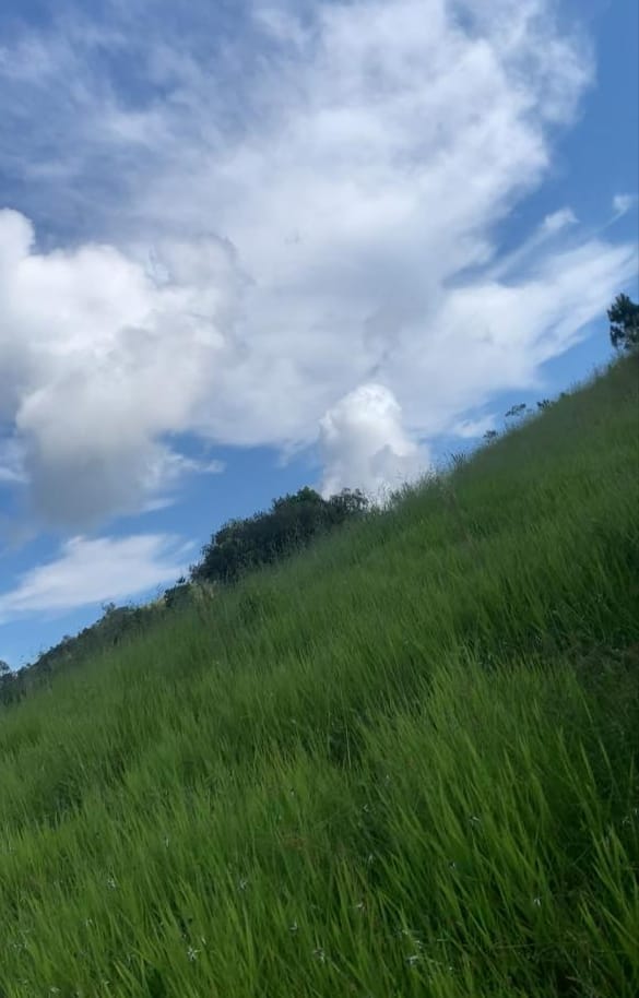 Finca de 482 tareas con vocación ganadera y agrícola en San José de la Foto 7290213-5.jpg