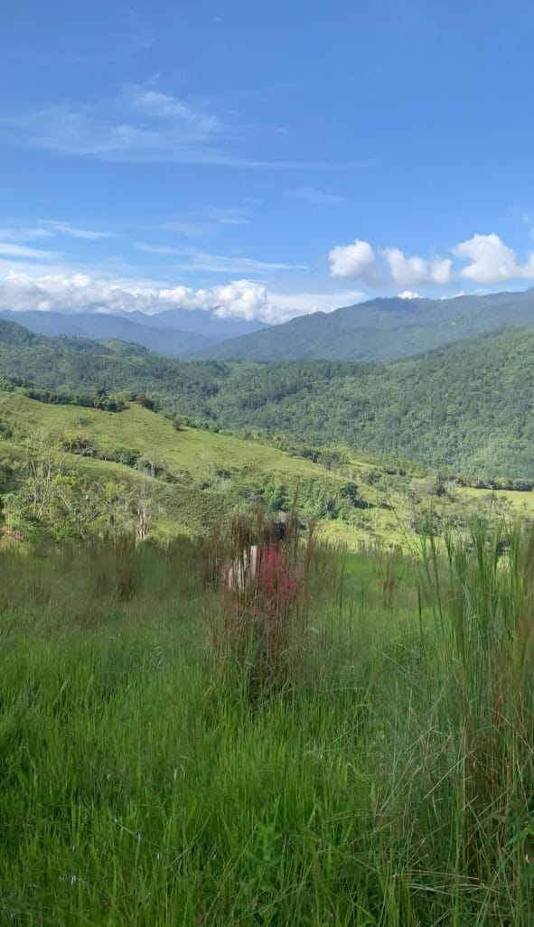 Finca de 482 tareas con vocación ganadera y agrícola en San José de la Foto 7290213-6.jpg