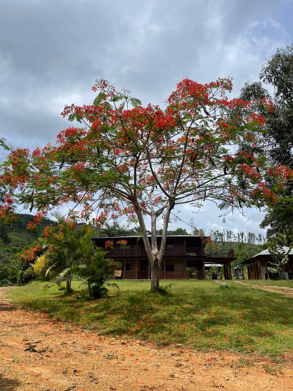Elegante finca de 870 tareas totalmente ganadera con casa campestre de Foto 7290471-10.jpg
