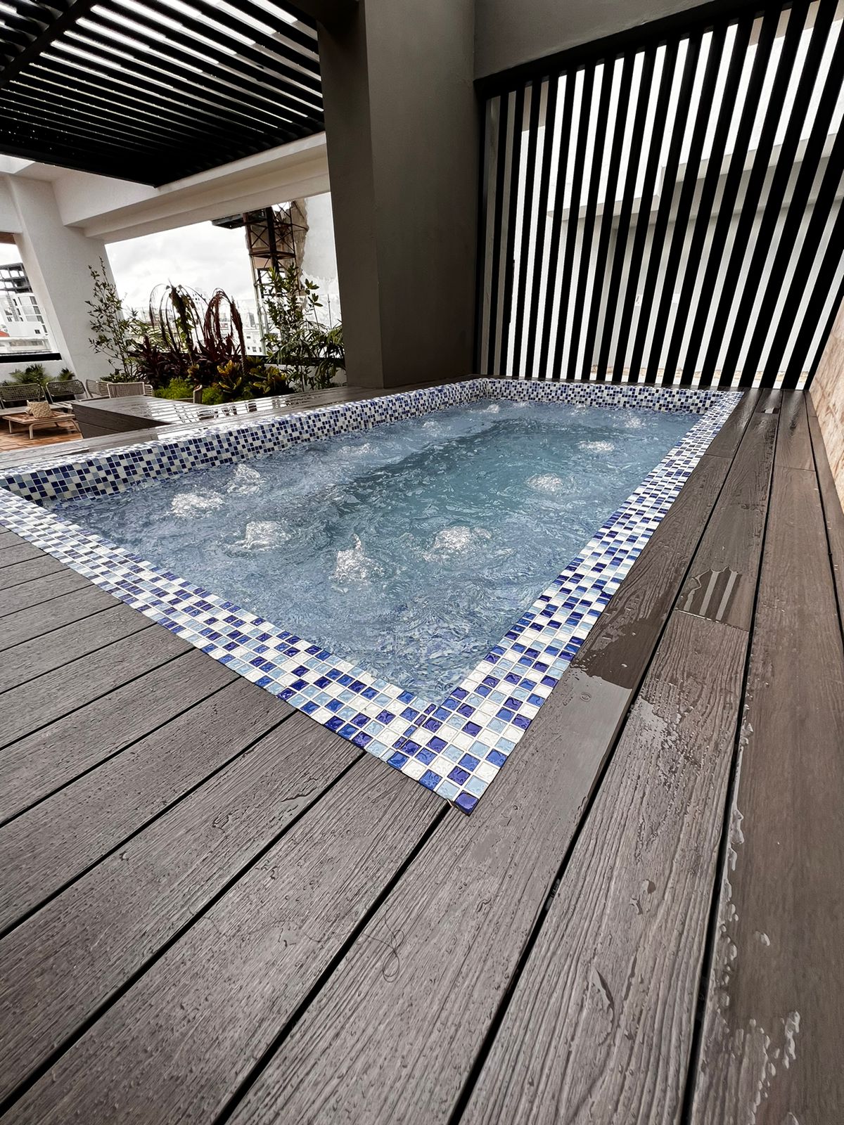 Apartamento de 1 Habitación en Venta Naco con piscina Foto 7291126-5.jpg