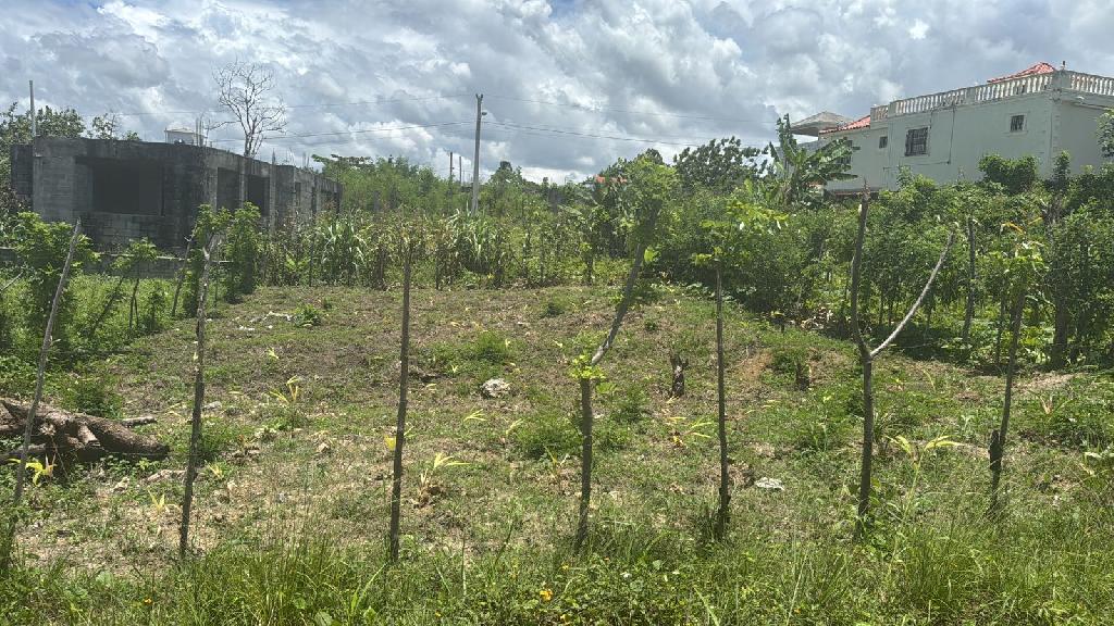 Terreno para inversión en zona en crecimiento  Foto 7291139-1.jpg
