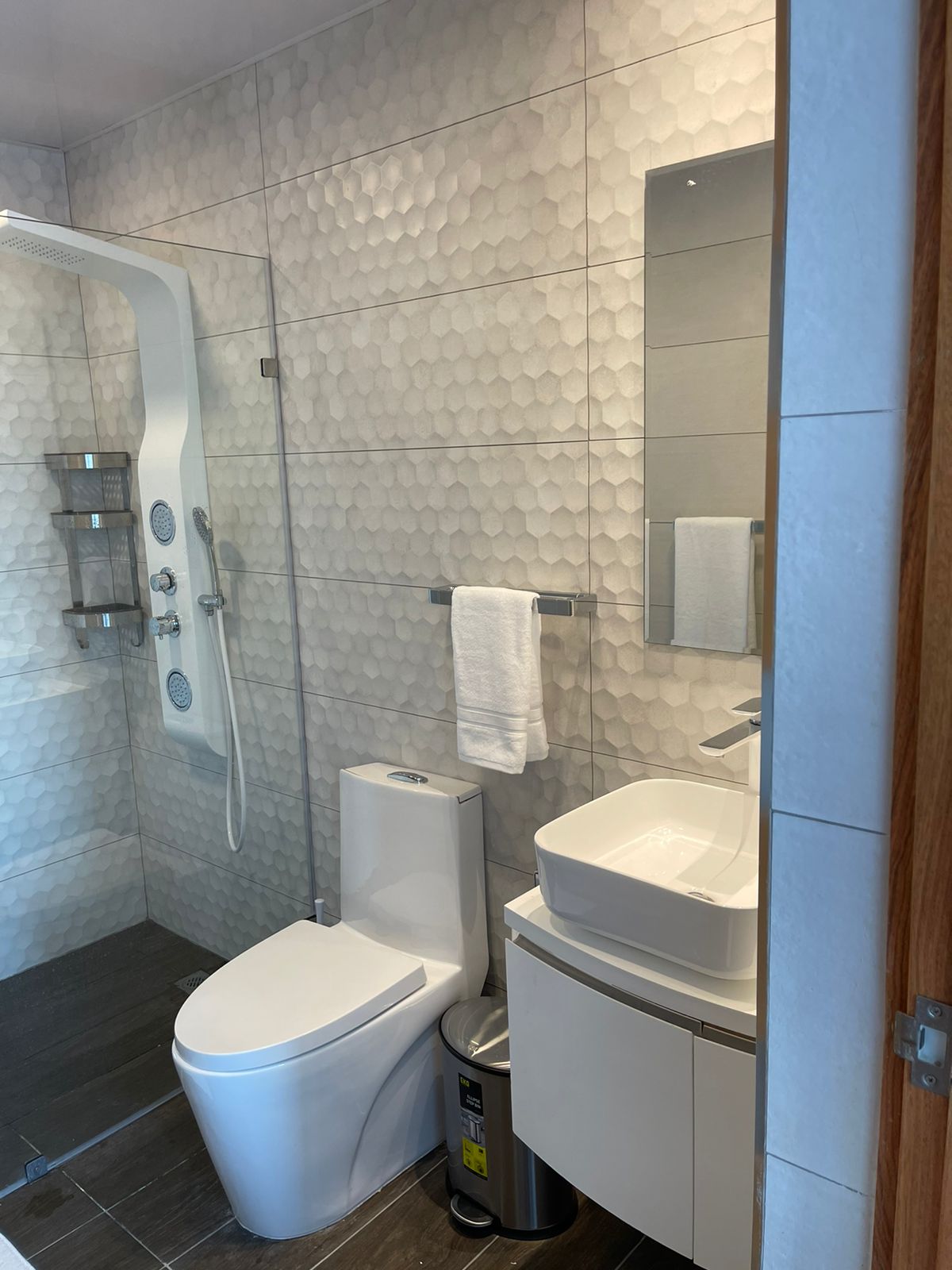 Apartamento en Alquiler en Piantiani de 1 Habitacion Foto 7291599-8.jpg