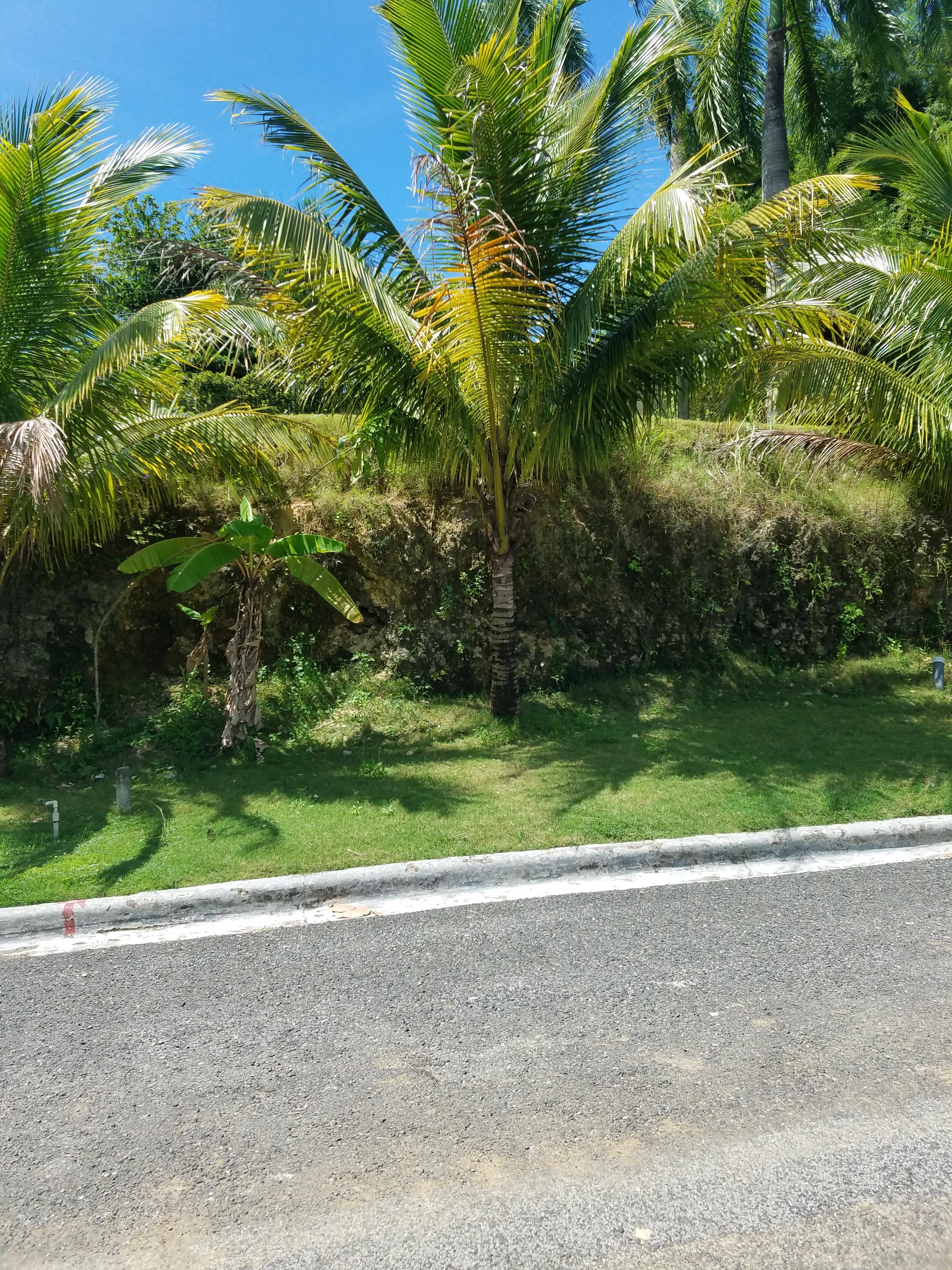 EN JARDINES DE ISABELA VENTA SOLAR. Foto 7292232-9.jpg