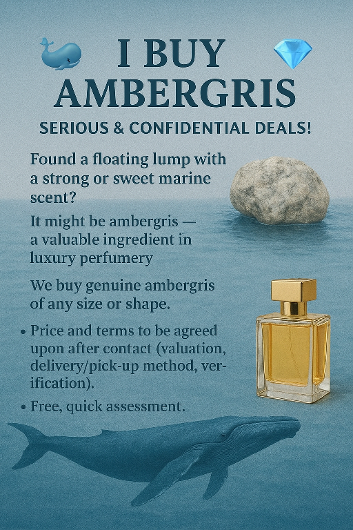 I BUY AMBERGRIS SERIOUS  CONFIDENTIAL DEALS! Foto 7293064-1.jpg
