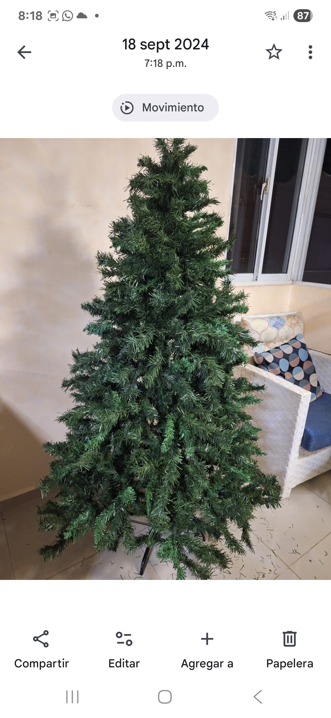 Arboles de navidad como nuevos Foto 7293560-2.jpg