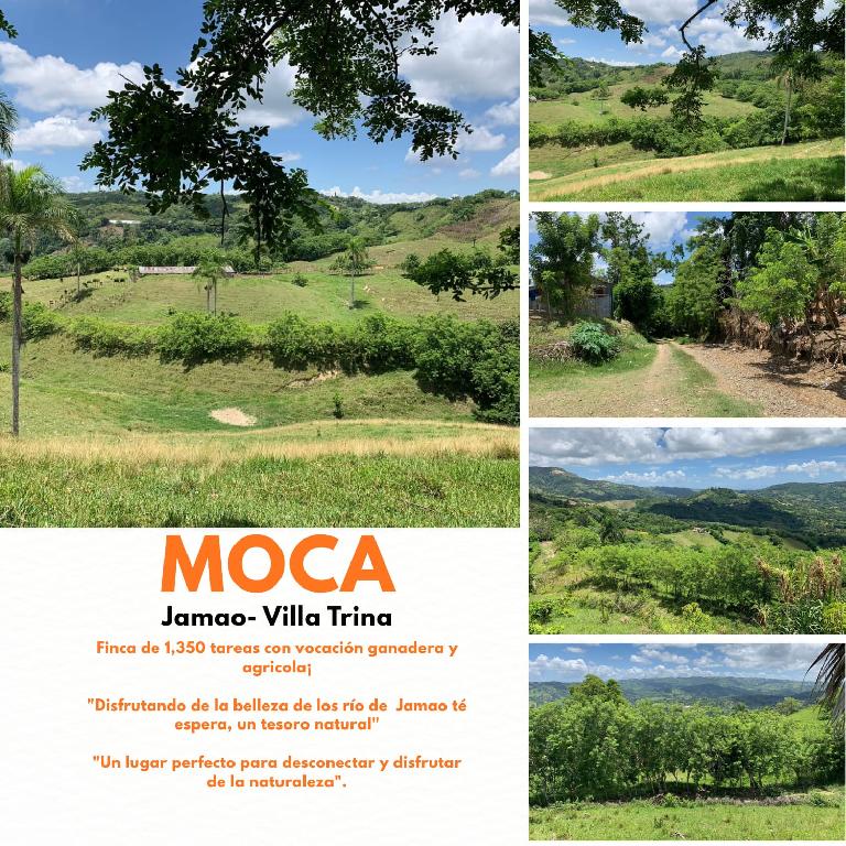Vendo de oportunidad finca de 1350 tareas apta para ganadería y agricu Foto 7293689-1.jpg