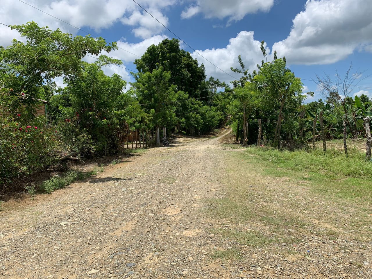Vendo de oportunidad finca de 1350 tareas apta para ganadería y agricu Foto 7293689-10.jpg