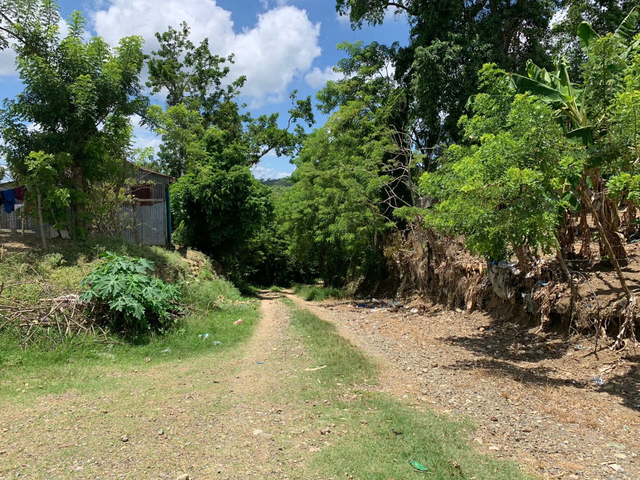 Vendo de oportunidad finca de 1350 tareas apta para ganadería y agricu Foto 7293689-11.jpg