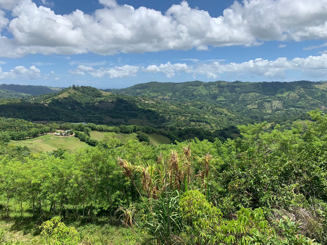 Vendo de oportunidad finca de 1350 tareas apta para ganadería y agricu Foto 7293689-12.jpg