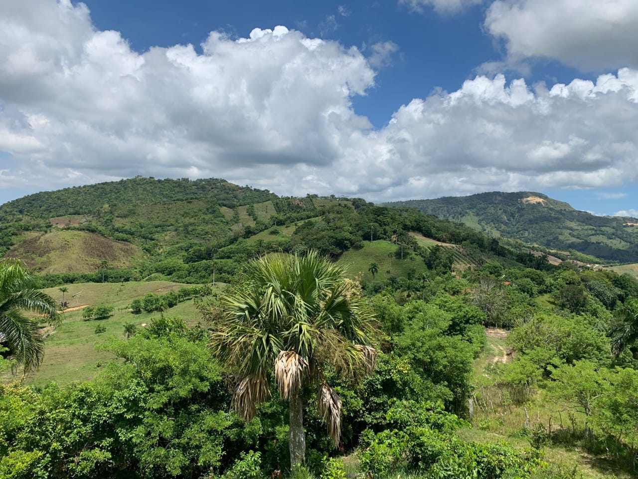 Vendo de oportunidad finca de 1350 tareas apta para ganadería y agricu Foto 7293689-13.jpg