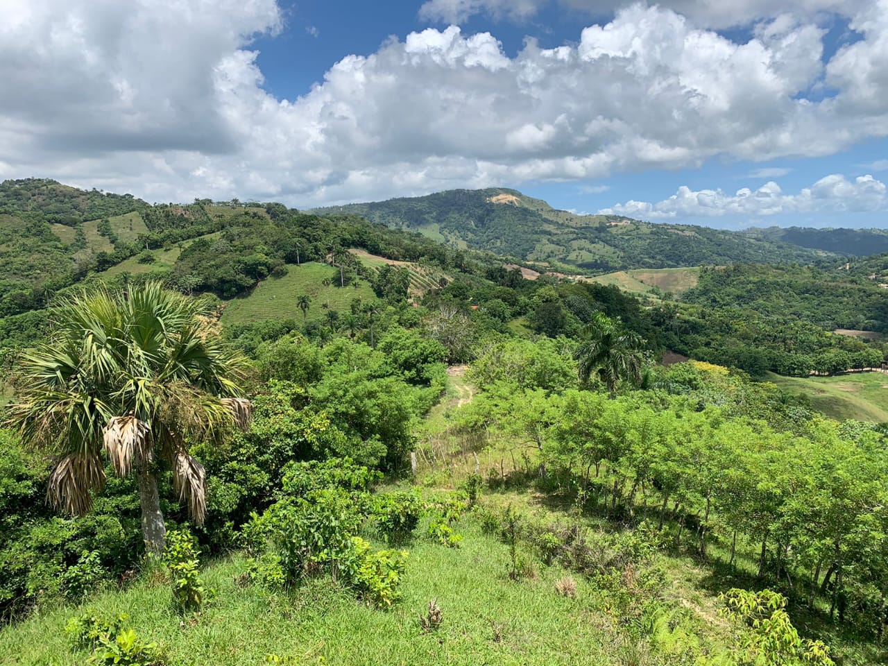 Vendo de oportunidad finca de 1350 tareas apta para ganadería y agricu Foto 7293689-5.jpg