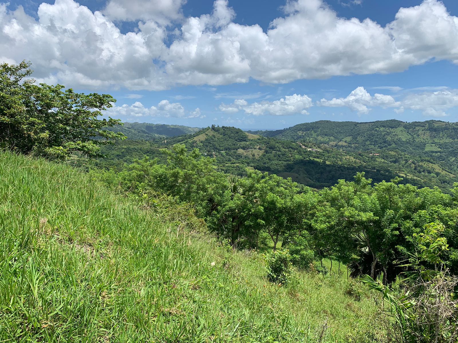 Vendo de oportunidad finca de 1350 tareas apta para ganadería y agricu Foto 7293689-7.jpg
