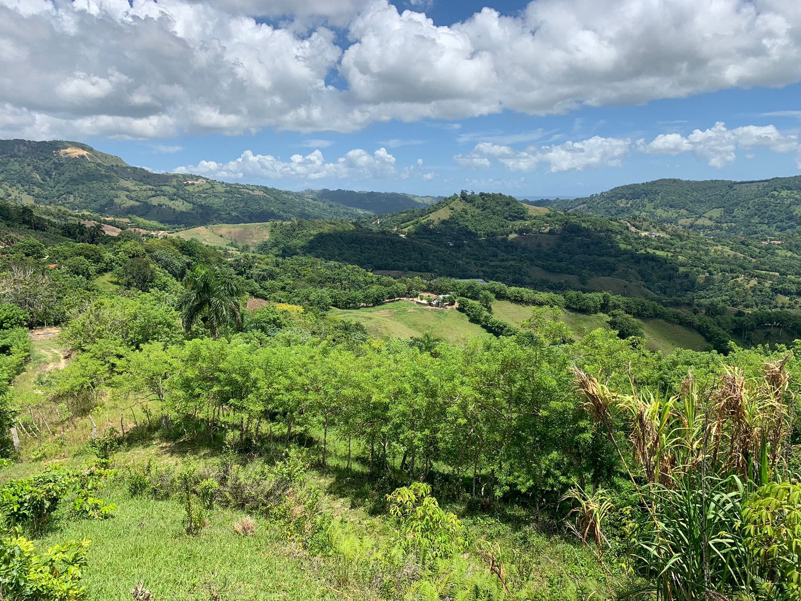 Vendo de oportunidad finca de 1350 tareas apta para ganadería y agricu Foto 7293689-9.jpg