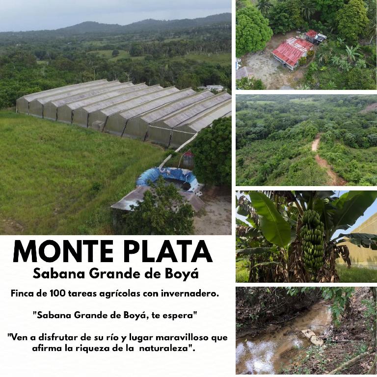 Finca de 100 tareas agrícolas con invernadero en Sabana Grande de Boyá Foto 7293700-1.jpg