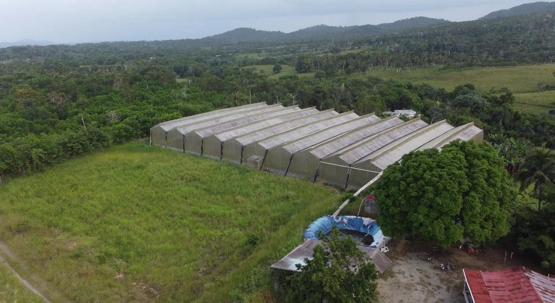 Finca de 100 tareas agrícolas con invernadero en Sabana Grande de Boyá Foto 7293700-2.jpg