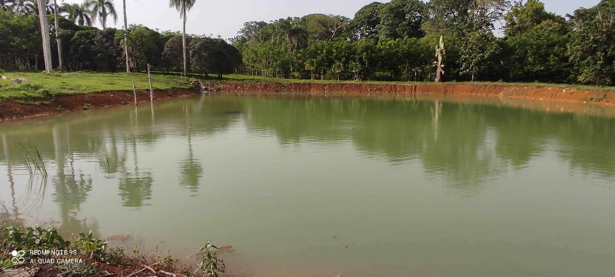 Oportunidad finca de 3850 tareas apta para la ganadería y agricultura Foto 7293741-2.jpg