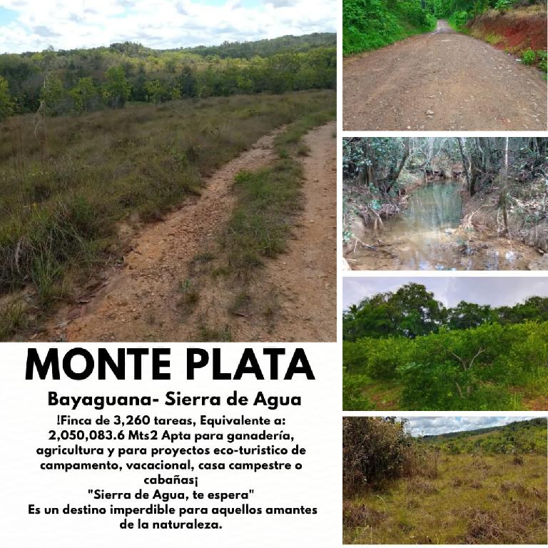 Oportunidad finca de 3260 tareas apta para la ganadería y agricultura  Foto 7293742-1.jpg