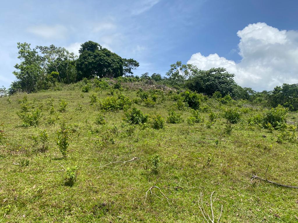 Venta de Terreno de 191000 Mts2 en Las Terrenas Foto 7293744-2.jpg