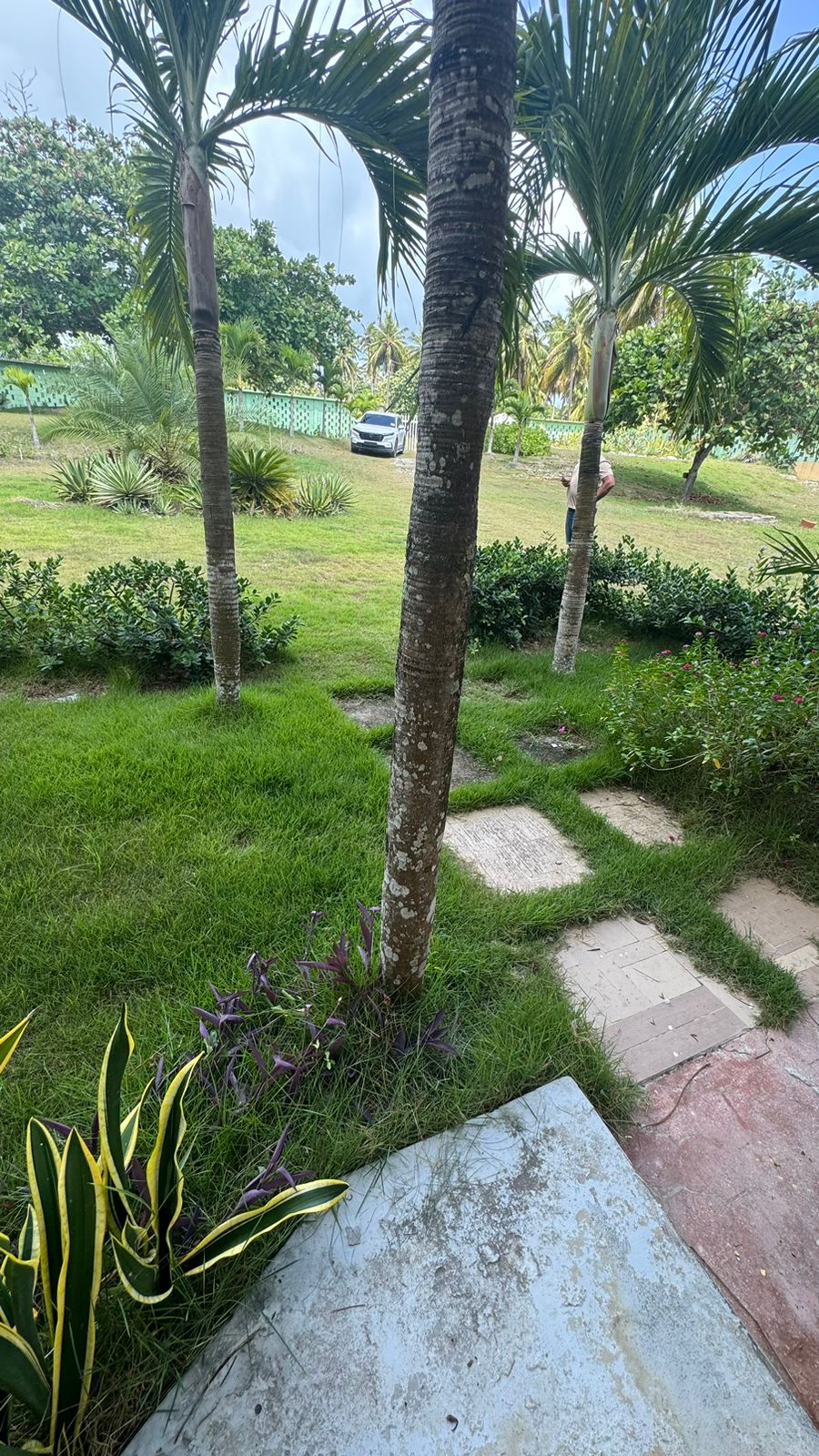 Terreno de 23000 Mts2 frente a la playa con excelente villa dentro en  Foto 7293762-6.jpg