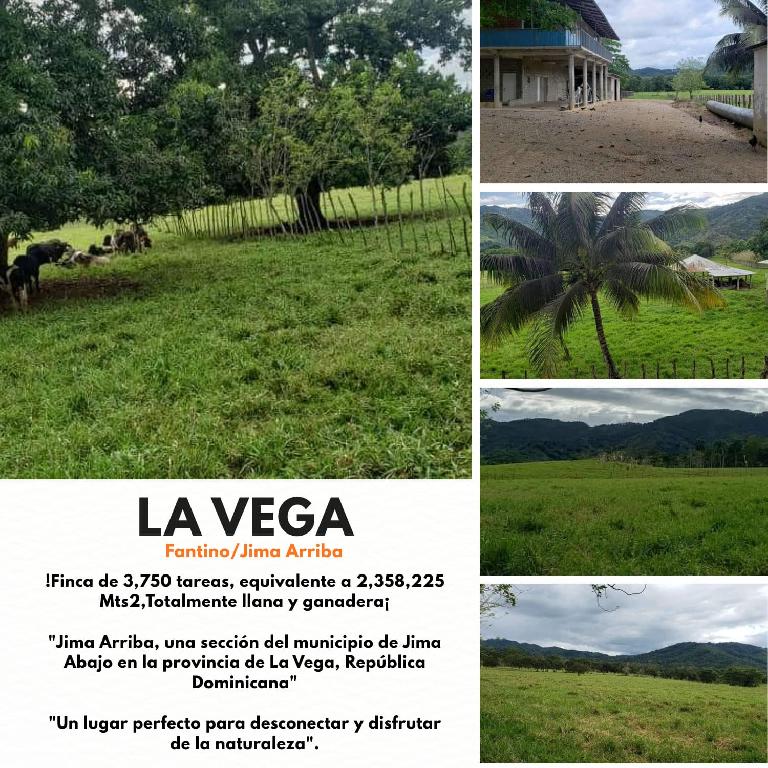 Finca de 3750 tareas ganaderas totalmente equipadas en  La vaga  Foto 7293766-1.jpg