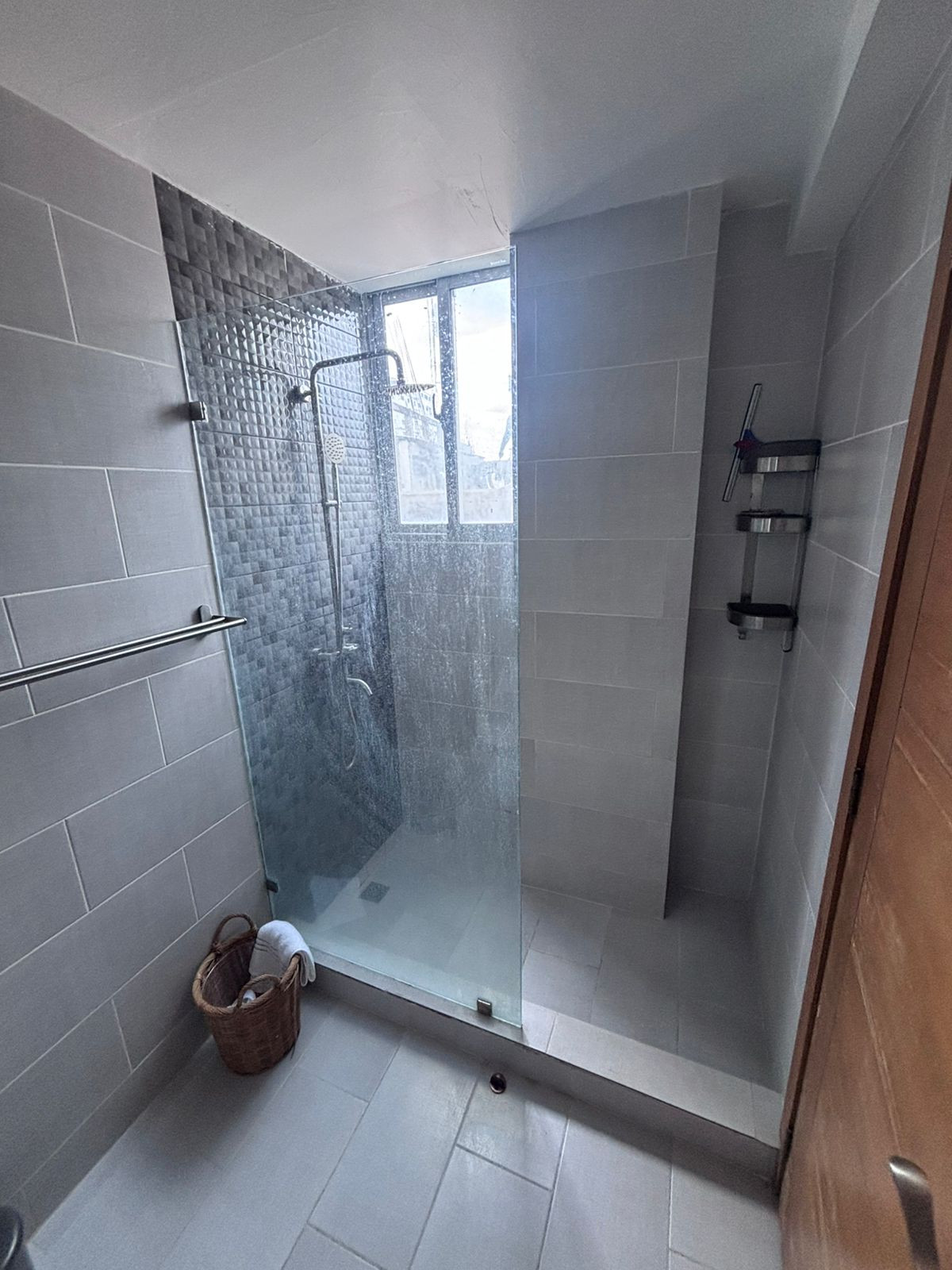 Apartamento en Venta y Alquiler Amueblado  – NACO Santo Domingo Foto 7294338-6.jpg