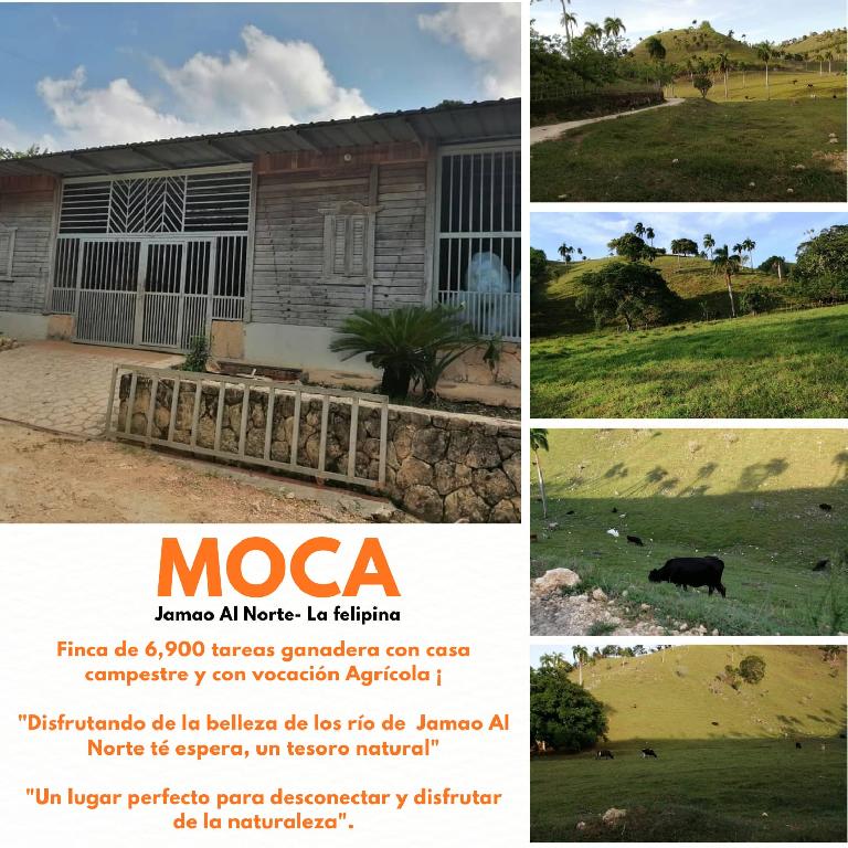 Excelente fincade 6900 tareas totalmente ganadera con casa campestre y Foto 7294361-1.jpg