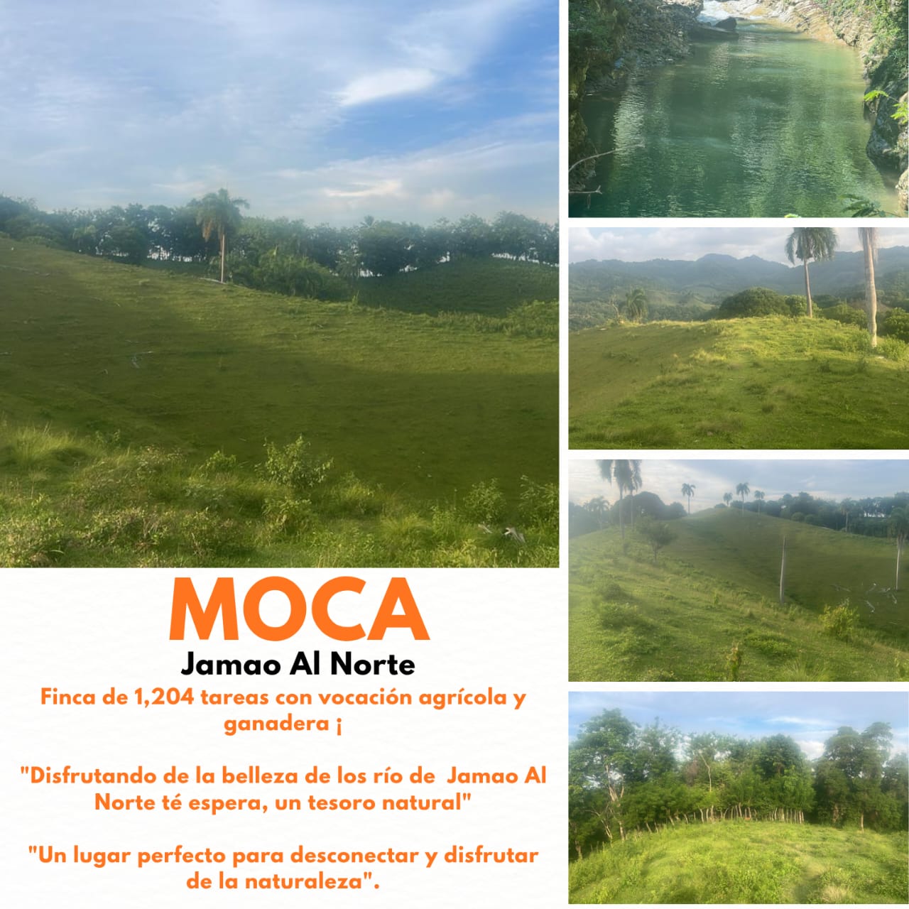 Oportunidad finca de 1204 tareas con vocación Agrícola y Ganadera en J Foto 7294362-1.jpg