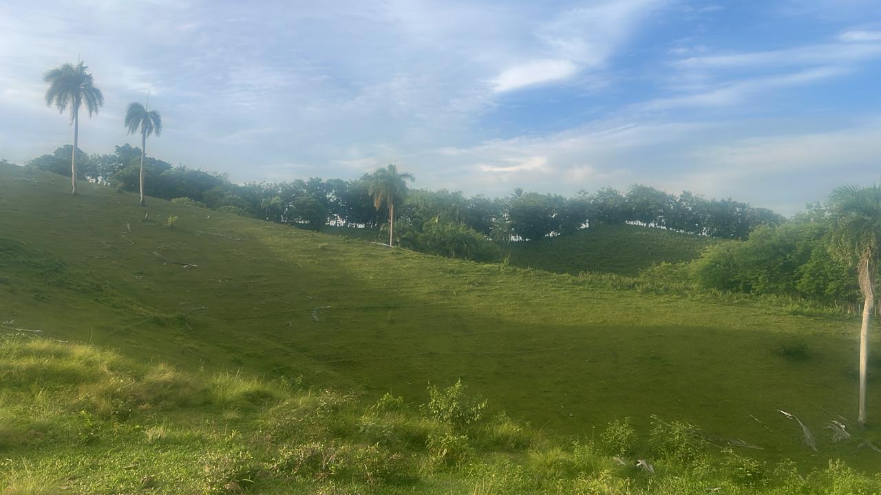 Oportunidad finca de 1204 tareas con vocación Agrícola y Ganadera en J Foto 7294362-6.jpg
