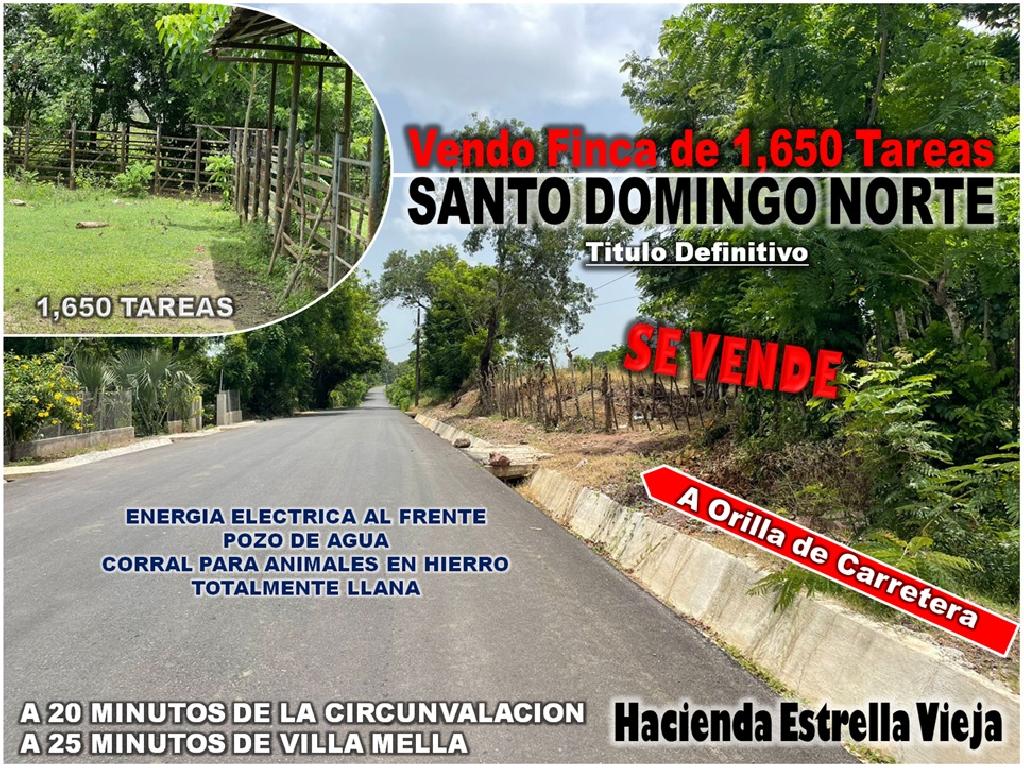 Vendo Finca de 1650 tareas en Santo Domingo Norte a la Orilla del ASFA Foto 7294776-1.jpg